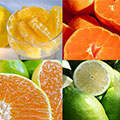 サン・フレッシュ「柑橘特集」