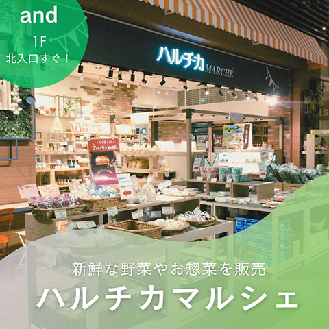 ハルチカマルシェ