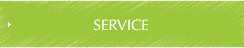 SERVICE