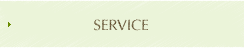 SERVICE