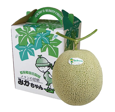 野洲市＜みかちゃんメロン＞限定販売｜近鉄百貨店 草津店