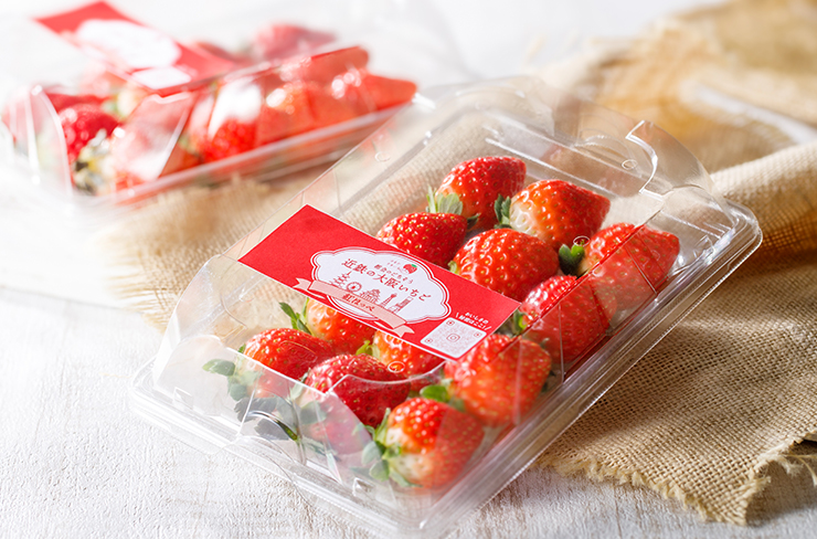 地域共創への取り組み