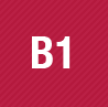 b1