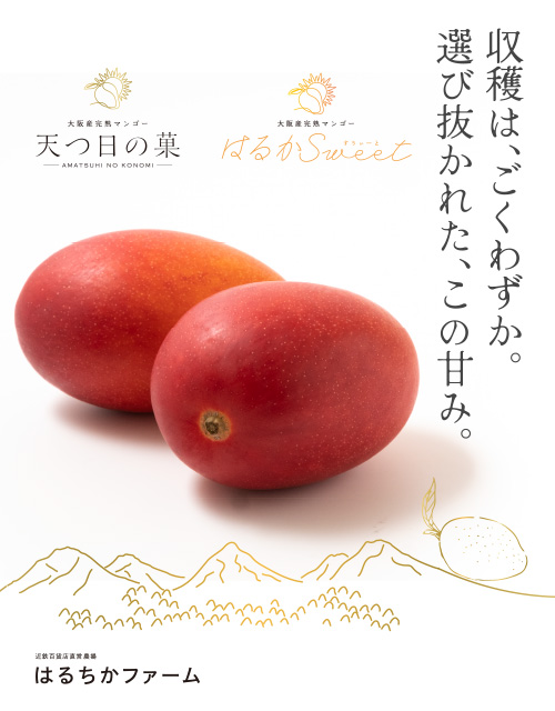 収穫は、ごくわずか。選び抜かれた、この甘み。