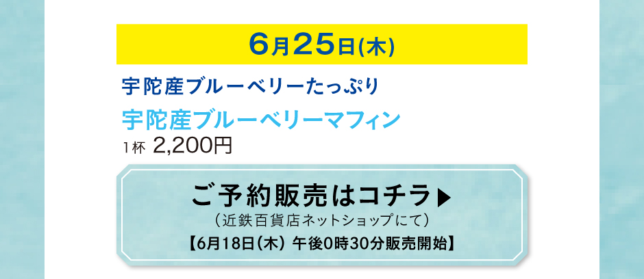 宇陀産ブルーベリーマフィン