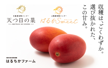近鉄百貨店 大阪産完熟マンゴー