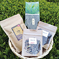 プラグスマーケット「大和茶ある暮らし」コレ