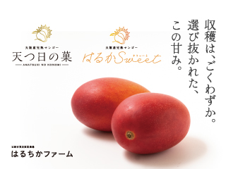 近鉄百貨店 大阪産完熟マンゴー