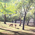 身野友之 油絵展