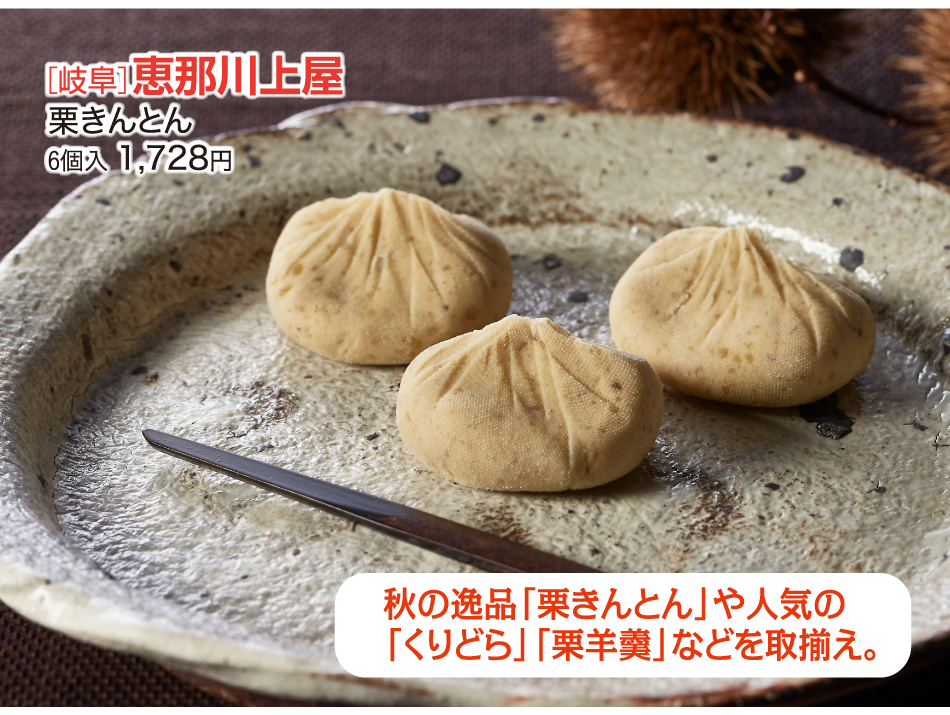 ［岐阜］恵那川上屋