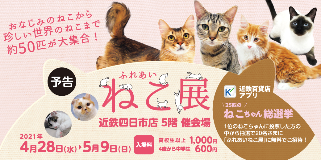 予告 ふれあいねこ展 四日市市イベント情報集約サイト 予告 ふれあいねこ展 四日市市イベント情報集約サイト