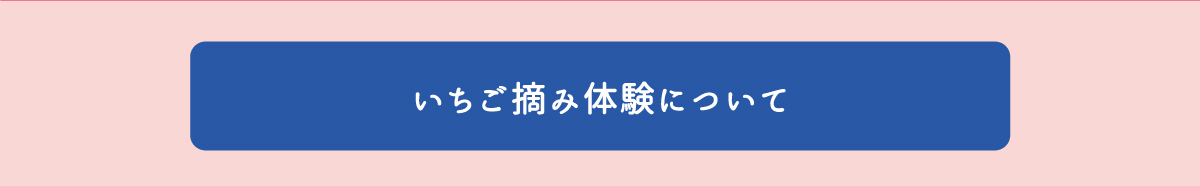 いちご摘み体験について