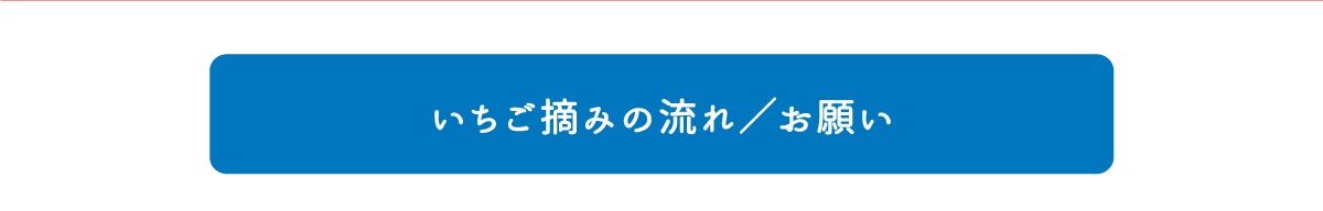 いちご摘みの流れ／お願い