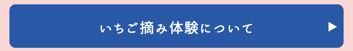いちご摘み体験について