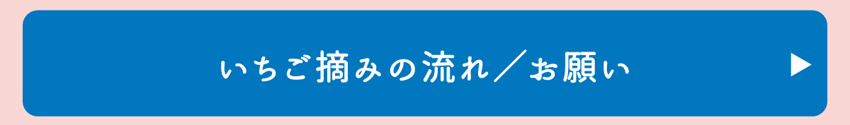 いちご摘みの流れ／お願い